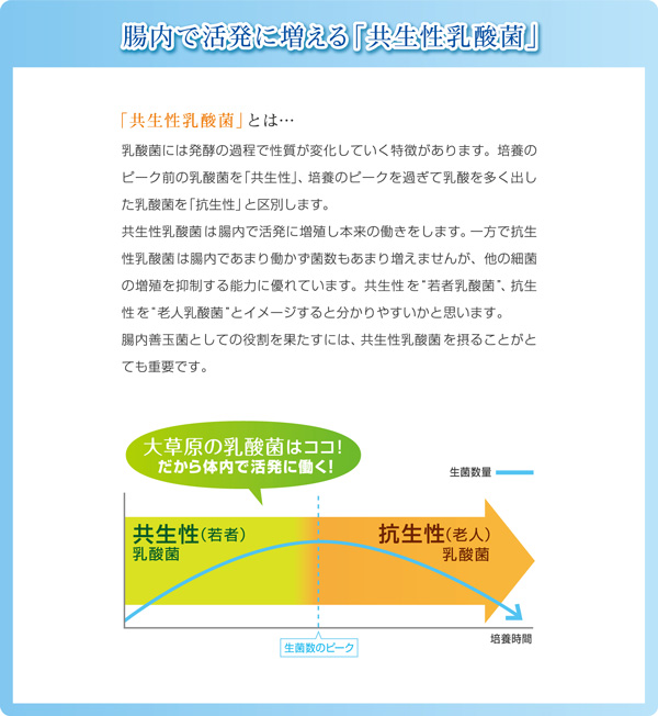 「共生性乳酸菌」と「抗生性乳酸菌」