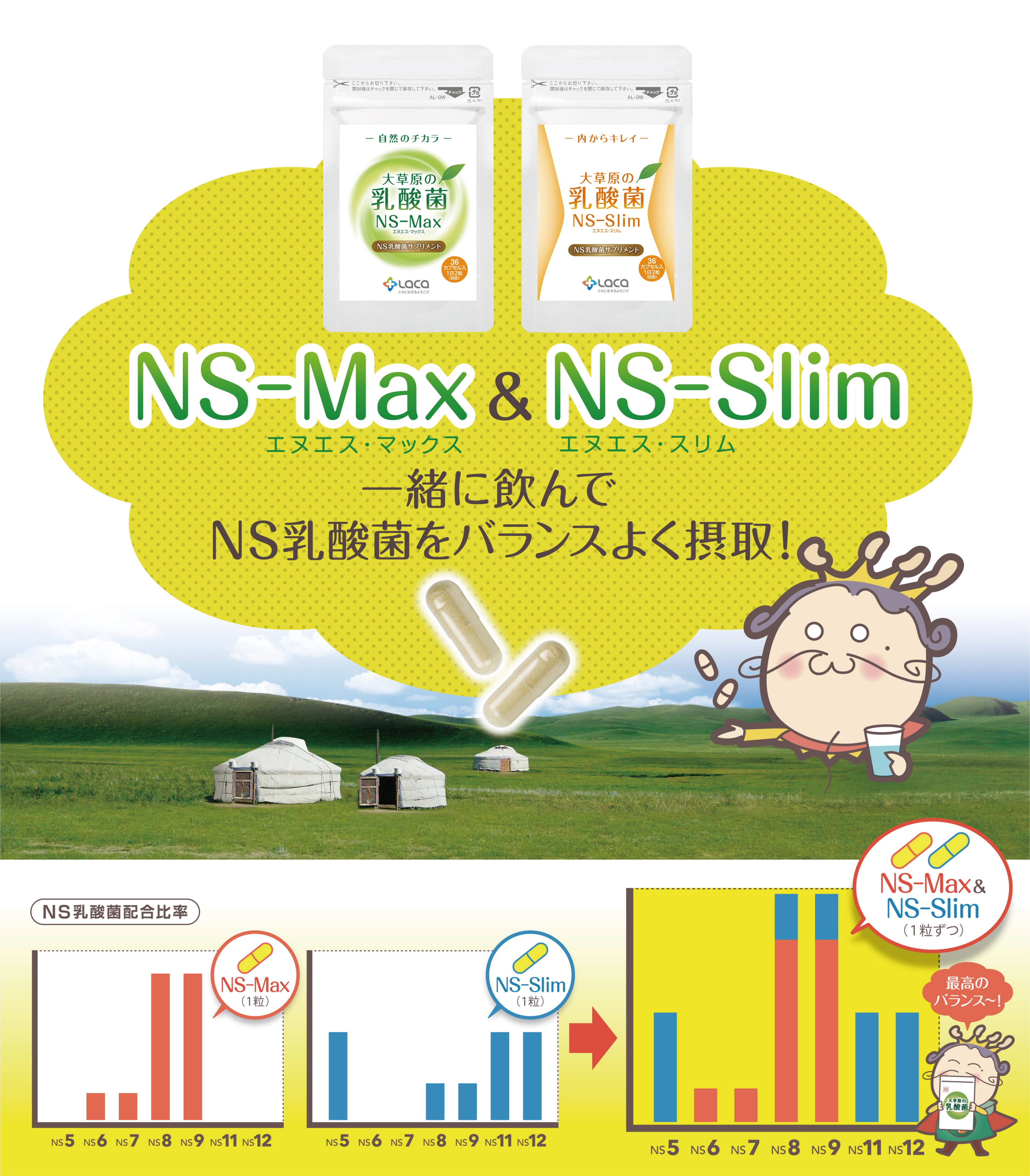 ●NS-Max＆NS-Slim　一緒に飲んでNS乳酸菌をバランスよく摂取！