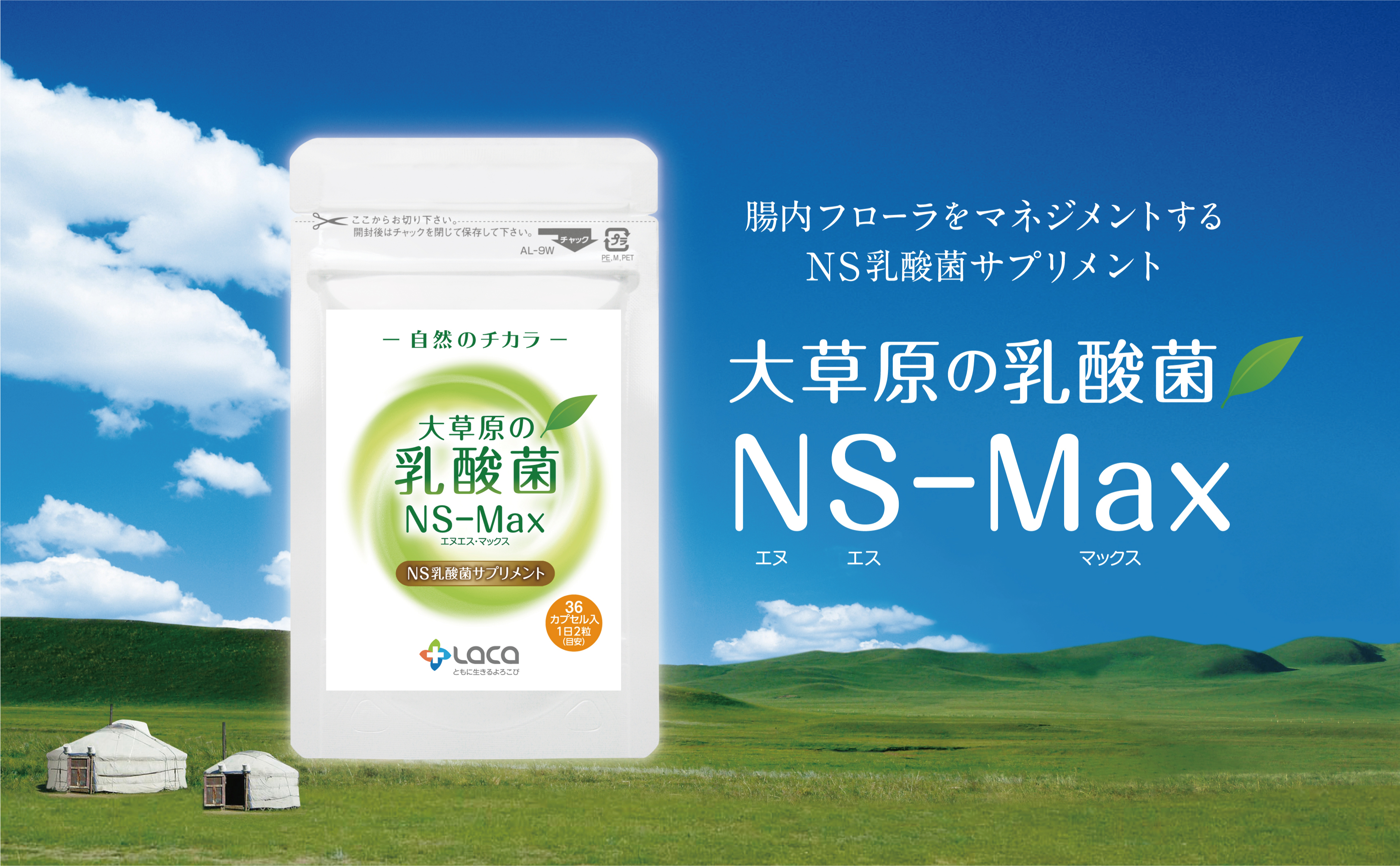 自然との共生、遊牧民が教えてくれたもの「大草原の乳酸菌」