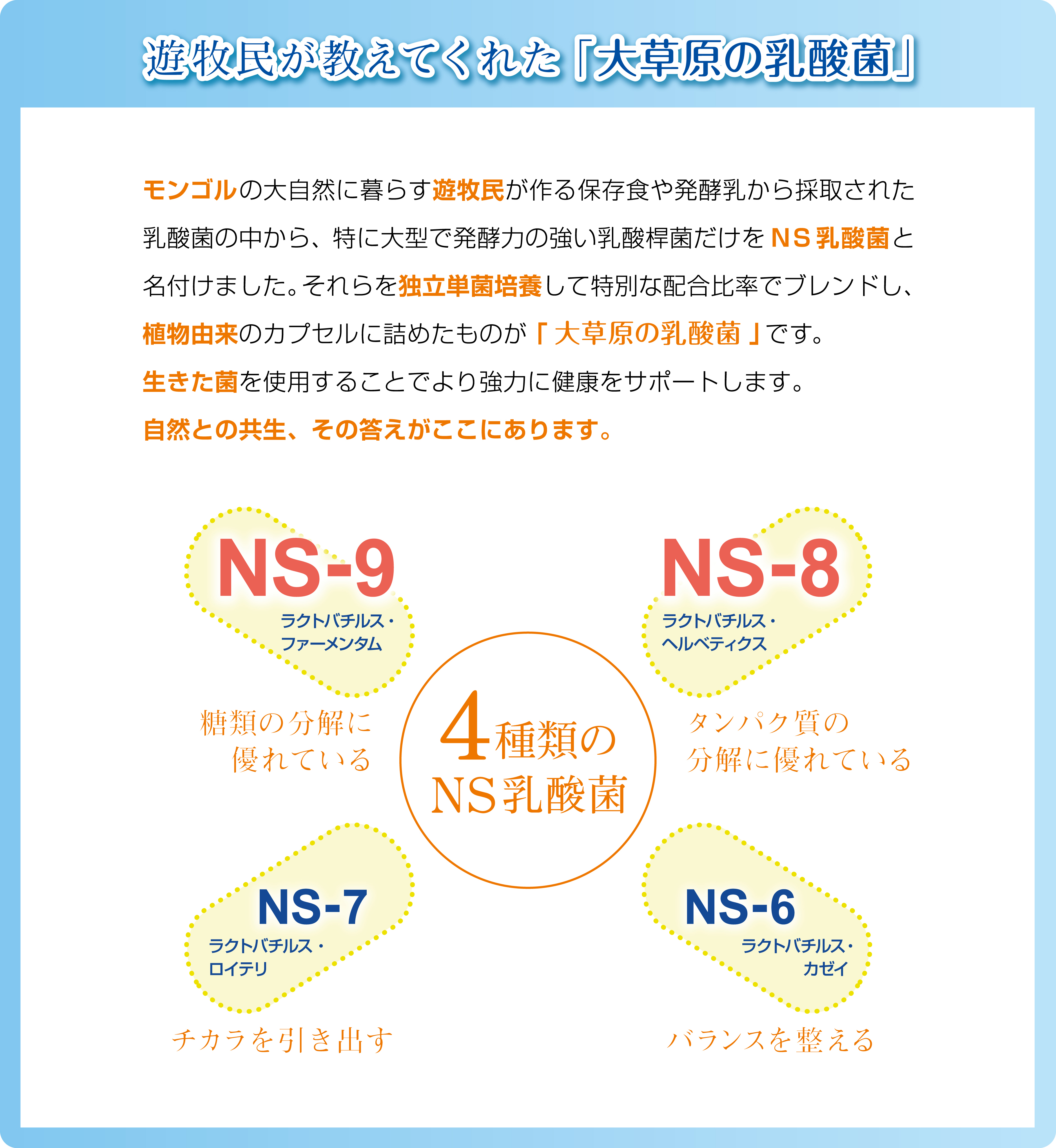 年齢を重ねるにつれて減っていく善玉菌、増えていく悪玉菌。続けることで「変えたい」あなたにお届けします。
健康は菌に左右されます。まずは体内のバランスを整え、病気になりにくいカラダをつくることが大切です。今日の社会では、殺菌・抗菌が宣伝されていますが菌やウイルスを殺すのではなく本来は人間と共生させることが望ましいのです。【開発者の金鋒博士】